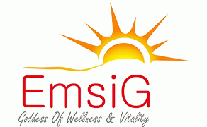 امسیگ(EmsiG)